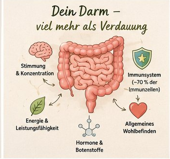 der Darm beeinflusst Stimmung, Immunsystem, Energie und Hormone