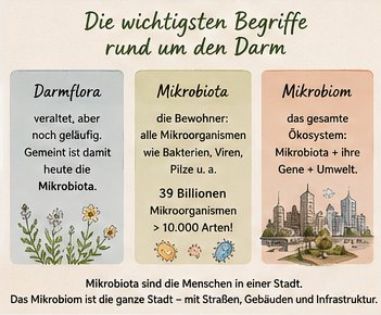 Unterschied zwischen Darmflora, Mikrobiota und Mikrobiom einfach erklärt